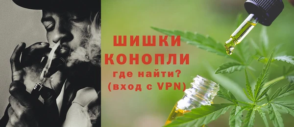 дмт Пестово
