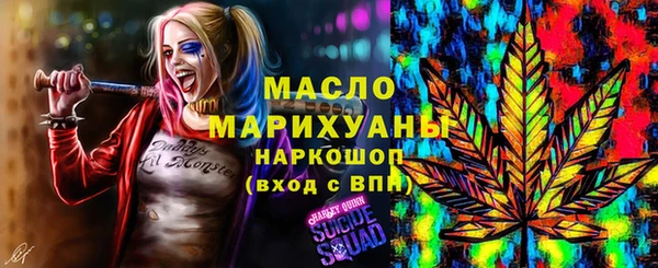 дмт Пестово
