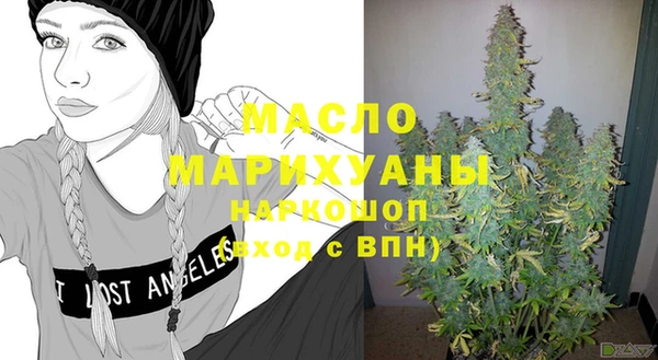 дмт Пестово