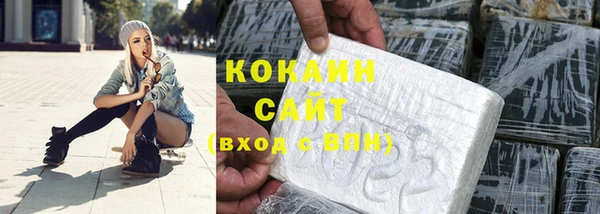 дмт Пестово