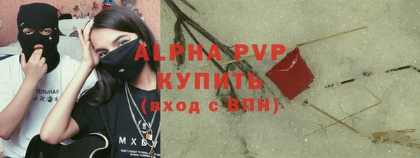 дмт Пестово